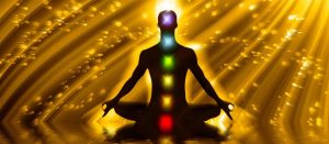 Dhara Wellness Garden - Terapias Vibracionales